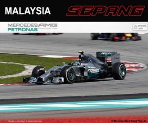 yapboz Nico Rosberg - Mercedes - Malezya 2014 Grand Prix 2º sınıflandırılmış